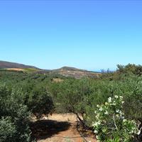 Other in Greece, Crete, 110 sq.m.