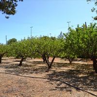 Other in Greece, Crete, 110 sq.m.