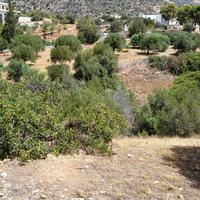 Land plot in Greece, Crete