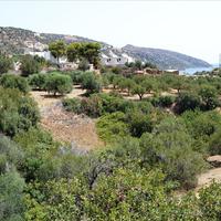 Land plot in Greece, Crete
