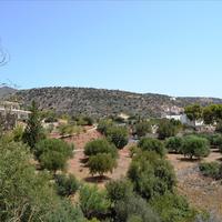 Land plot in Greece, Crete