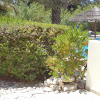 Flat in Republic of Cyprus, Eparchia Pafou, Paphos, 94 sq.m.