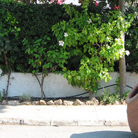 Flat in Republic of Cyprus, Eparchia Pafou, Paphos, 52 sq.m.