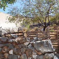 Land plot in Greece, Crete