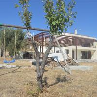 Other in Greece, Peloponnese, Kori, 270 sq.m.
