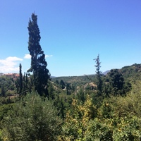 Земельный участок в Греции, Крит, Ханья, 2000 кв.м.