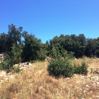 Земельный участок в Греции, Крит, Ханья, 2000 кв.м.