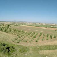 Land plot in Greece, Central Macedonia, Khal