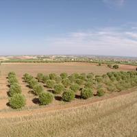 Land plot in Greece, Central Macedonia, Khal