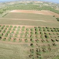 Land plot in Greece, Central Macedonia, Khal