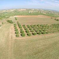 Land plot in Greece, Central Macedonia, Khal