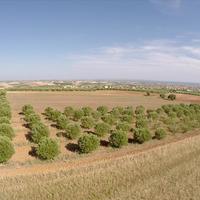 Land plot in Greece, Central Macedonia, Khal