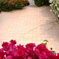 Бизнес-центр в Греции, Крит, Ираклион, 267 кв.м.