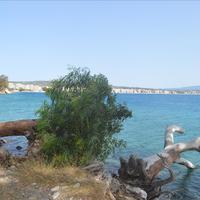 Flat in Greece, Peloponnese, Kori, 46 sq.m.