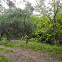 Land plot in Greece, Ionian Islands, 7500 sq.m.