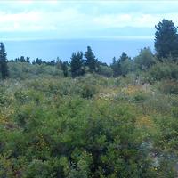 Земельный участок в Греции, Ионические острова