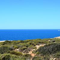 Land plot in Greece, Crete, 40000 sq.m.