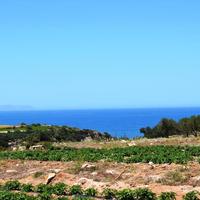 Land plot in Greece, Crete, 5000 sq.m.
