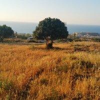 Land plot in Greece, Crete, 3000 sq.m.