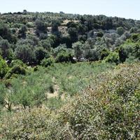 Земельный участок в Греции, Крит, Ханья, 12000 кв.м.