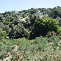 Земельный участок в Греции, Крит, Ханья, 12000 кв.м.