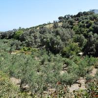 Земельный участок в Греции, Крит, Ханья, 12000 кв.м.