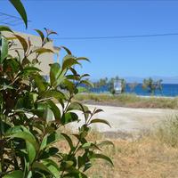 Land plot in Greece, Peloponnese, Kori