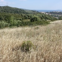 Земельный участок в Греции, Центральная Македония, Центр