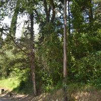 Land plot in Greece, Ionian Islands