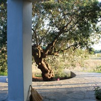 Other in Greece, Central Macedonia, Center, 204 sq.m.