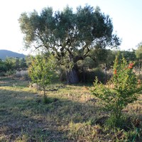 Other in Greece, Central Macedonia, Center, 204 sq.m.