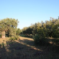 Other in Greece, Central Macedonia, Center, 204 sq.m.