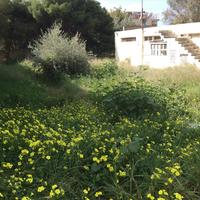Land plot in Greece, Attica, Athens