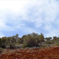 Land plot in Greece, Crete