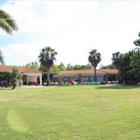 Land plot in Greece, Dode