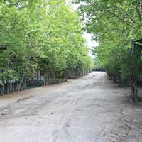 Land plot in Greece, Dode