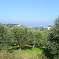 Land plot in Greece, Crete, 3900 sq.m.