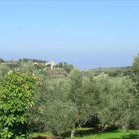 Land plot in Greece, Crete, 3900 sq.m.