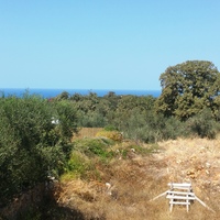 Land plot in Greece, Crete, 700 sq.m.