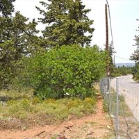 Земельный участок в Греции, Крит, Ханья, 1100 кв.м.