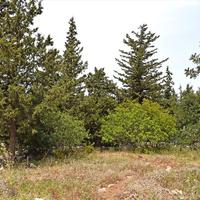 Земельный участок в Греции, Крит, Ханья, 1100 кв.м.