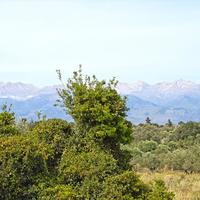 Land plot in Greece, Crete, Chania, 20000 sq.m.