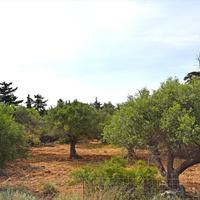 Land plot in Greece, Crete, Chania, 20000 sq.m.