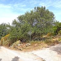 Land plot in Greece, Crete, Chania, 608 sq.m.