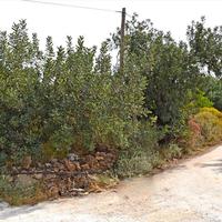 Land plot in Greece, Crete, Chania, 608 sq.m.