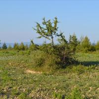 Земельный участок в Греции, Центральная Македония, Центр