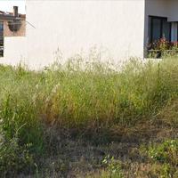 Land plot in Greece, Central Macedonia, Center
