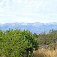 Land plot in Greece, Crete, Chania, 1000 sq.m.