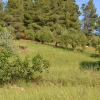 Land plot in Greece, Central Macedonia, Center