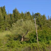 Land plot in Greece, Central Macedonia, Center